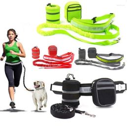 Dog Collars Leash Explosion-Proof Running Chest Harness Chain Vest Collar Small And Medium-Sized Pet Supplies
