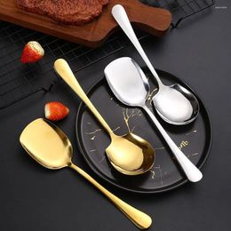 Spoons Stainless Steel Serving Spoon Long Handle Soup For Dinner Dessert Pot Colander Kitchen Tableware 2 Colour V4U6