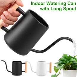 1L Watering Can Small Watering Can Indoor Plants w/ Wooden Handle Stainless Steel Watering Pot w/ Long Spout Garden Watering Can 240508