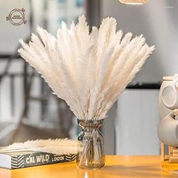 Decorative Flowers Natural Dried Pampas Boho Home Decoration Reed Wedding El Room Table Party Accessories Artificial Plants