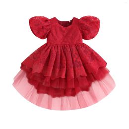 Girl Dresses Baby Princess Dress Embroidered Flower Puff Sleeve Tulle Tutu Layered Formal Wedding Party Pageant Ball Gown