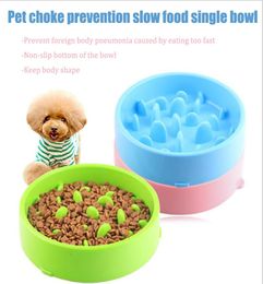 Healthy eating dog bowls cat puppy feeding slow feed pet bowl feeder8339569