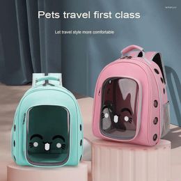 Cat Carriers Transportation Backpack Bag Space Pets Knapsack High-Capacity Both Shoulders Transparent Schoolbag