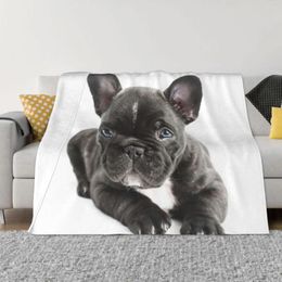 Blankets Cute Dog 3D Printed Kawaii Gift For Kids Flannel Awesome Warm Throw Blanket Home All Season Portable Quilt