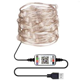 Strings Bluetooth Light String Mobile Phone APP Copper Wire USB Lights Colorful Home Christmas Tree Wedding Decor
