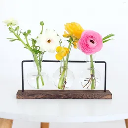Vases Hydroponic Plant Flower Pot Transparent Vase Wooden Frame Glass