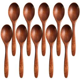 Coffee Scoops 10 Pcs Kitchen Appliance Tea Spoon Salt Wooden Spoons Supplies Set Seasoning Small Scoop