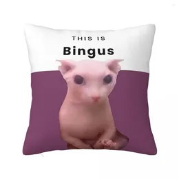 Pillow This Is Bingus Pillowcase Soft Polyester Cover Gift Fashion Cute Sphynx Throw Case Bedroom Square 45X45cm