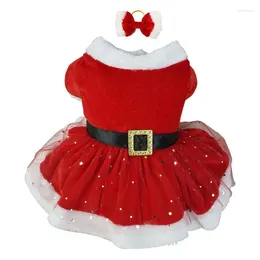 Dog Apparel Christmas Pet Dress Shiny Netting Santa Claus Cute Girl Clothing Red Dresses Cat