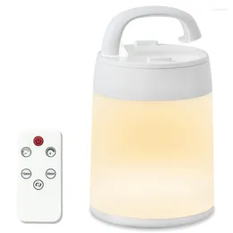 Night Lights LED Bedside Lamp Dimmable 3 Light Colors Changeable Press With Remote Control Automatically Switch Off