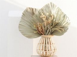 10pcslot Real Cattail Fan preserved Dry Natural Fresh Palm leaves Forever plant material for home Wedding Decoration C09302784601
