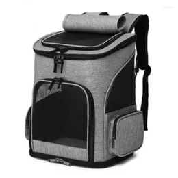 Cat Carriers Pet Bag Space Cover Perforated Transparent Accessories Backpack Breathable