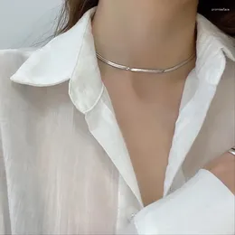 Chains Delicate Shining Silver Colour Chain Necklace For Women Girl Simple Clavicle Party Jewellery Decoration