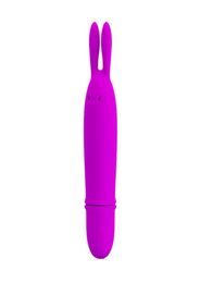 Rabbit Dildo Vibrators Adult Toys Silicone Waterproof 10 Speed Frequency Bullet Vibrator Sex Products for Women5228501