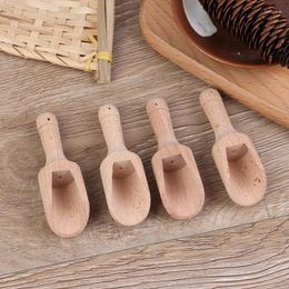 Spoons 4pcs Wooden Coffee Tea Scoops Mini Candy Bath Salt Spices Flavors