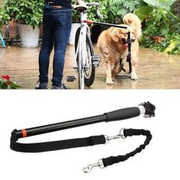 Dog Collars Bicycle Walker Traction Hands Free Safe Removable Comfortable Convenient Reliable Elastic Buffer Leash