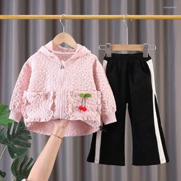 Clothing Sets Korean Baby Girl Infant 2024 Spring Fashion Zipper Long Sleeve Hooded Jackets And Pants Kids Girls 2 Piece Outfit