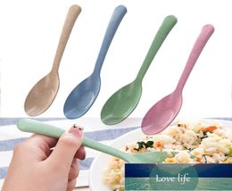 Kitchen Accessories wheat straw Spoon Portable High Quality Eco friendly tableware Restaurant6422947