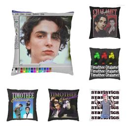 Pillow Nordic Paint Timothee Chalamet Sofa Cover Soft Throw Case Living Room Decoration Pillowcase