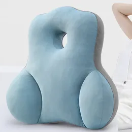 Pillow Modern Chairs Pillows S Garden Orthopaedic Plush Exterior Office Bedroom Lumbar Coussin Chaise Home Decoration