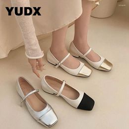 Dress Shoes Mary Janes Women Square Toe Vintage Female 2024 Shallow Buckle Strap Low Heels Pumps Ladies Single Chic