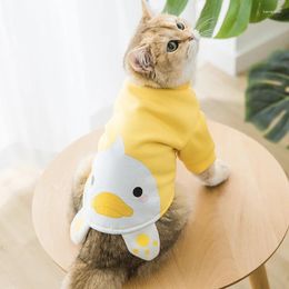 Dog Apparel Spring Sweater Cute Cartoon Animal Modeling Cat And Clothes Puppy Two-legged Pet