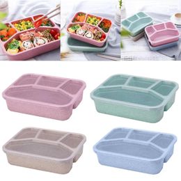 Dinnerware 4 Pcs Bento Lunch Box Reusable Compartment Containers BPA Free Plastic Divided Meal Prep Work And Travel