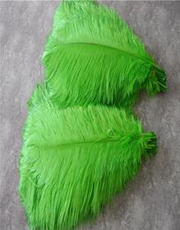 Whole 100 pcs 1618inch lime green ostrich feather plumes for wedding centerpiece party event decor festive decor3604494