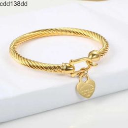 Charm Bracelets Titanium Steel Bangle Cable Wire Gold Love Heart Charm Bangle Bracelet With Hook Closure for Women Men Wedding Jewelry Gifts G2309045PE-3