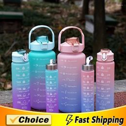 Water Bottles 3PCS Sports Bottle Perfect For Office School Gym And Workout Outdoor Large Capacity