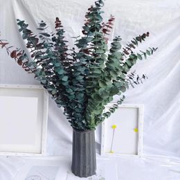 Decorative Flowers Easy To Maintain Shower Hanging Dried Eucalyptus Stems Living Room Decor