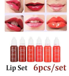 Tattoo Inks 6PcsPack Eyebrowampeyelineramp Lip Permanent Makeup Ink Brand Micro Pigment Lasting Long 15ml Cosmetics SupplyTat2714275