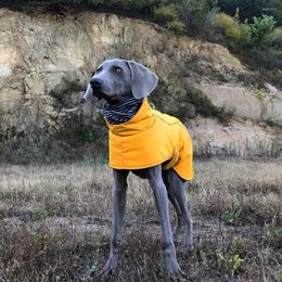 Dog Apparel Weimaraner Cotton Coat Autumn And Winter Pet Clothes Cape-style Quilted Jacket Waterproof High-collar Warm