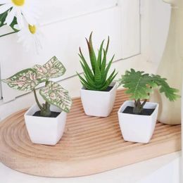 Decorative Flowers 3PCS Artificial Evergreen Plant Bonsai Home Furnishings Restaurants Offices Window Sills And Tabletop Decoration