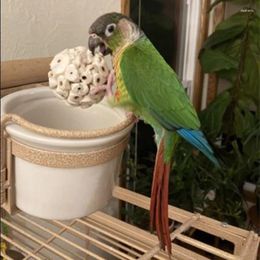 Other Bird Supplies KX4B 3 Count Hamster Chew Toy Foraging Sola Balls Soft Shreddable For Conure Peony