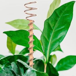 Garden Decorations 3 Pcs Electroculture Plant Stakes Climbing Stick Gardening Antenna Plants Bare Copper Planting And