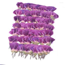 Decorative Flowers 120pcs Pressed Dried Godetia Amoena Flower Plant Herbarium Jewelry Postcard Bookmark Phone Case Invitation Card DIY