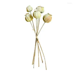 Decorative Flowers Eye-catching Artificial And Green Plants Unique Firework Dried Fruit Bunch Decoration High Quality Versatile Actual