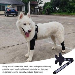 Dog Apparel Leg Strap Hip Joint Care Support Canine Front Brace For Torn ACL Knee Stifle Wrap Dogs