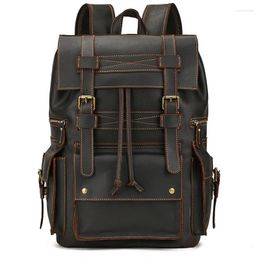 Backpack Luufan Big Capacity Mens Crazy Horse Genuine Leather 15.6 Inch Laptop Multifunction School Daypack Male Travel