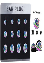 Mix 6 Sizes 5 Cards Internal Thread Ear Expander Plugs Kit Screw Flesh Tunnel Gauge Earring Stretchering Body Piercing7307300