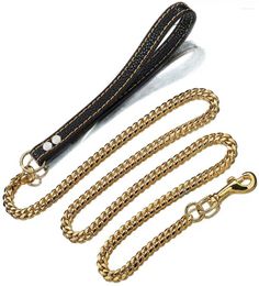 Dog Collars 10MM Gold Leash Stainless Steel Metal Chew Proof Lead Chain For Dogs Pet Traction Rope
