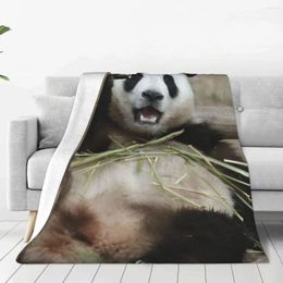 Blankets Fubao Panda Fu Bao Animal Blanket Warm Cozy Sherpa Throw For Bedding Travel