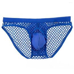 Underpants Men Underwear Net Mesh Bikini Briefs Bulge Fashion Low Waist Brief Sexy Lingerie Intimates