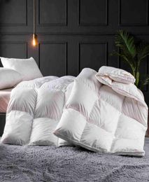 Luxury Bedding Duvet Insert White Goose Down All Season Warmth Quilted Comforter Blanket Twin Full Queen size9439408