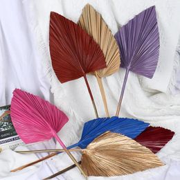 Decorative Flowers Palm Fan Leaf Dried Flower Window Reception Party Art Wall Decorat