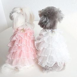 Dog Apparel Petstyle Spring/Summer Full Sky Star Wedding Dress Sweet Pet Clothes Cat Skirt