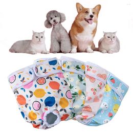Dog Apparel Pet Diaper Cartoon Print Physiological Pant Elastic Waist Washable Shorts Menstrual Safety Panties Puppy Clothes