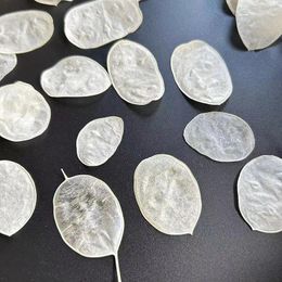 Decorative Flowers 100pcs Pressed Dried Ria Annua Leaf Flower Herbarium For Resin Epoxy Jewelry Card Bookmark Frame Phone Case Makeup Lamp