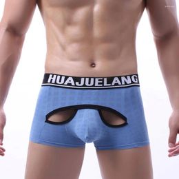 Underpants Mens Boxers Shorts Mesh Men Panties Seamless Sexy Underwear Man Male Breathable Briefs